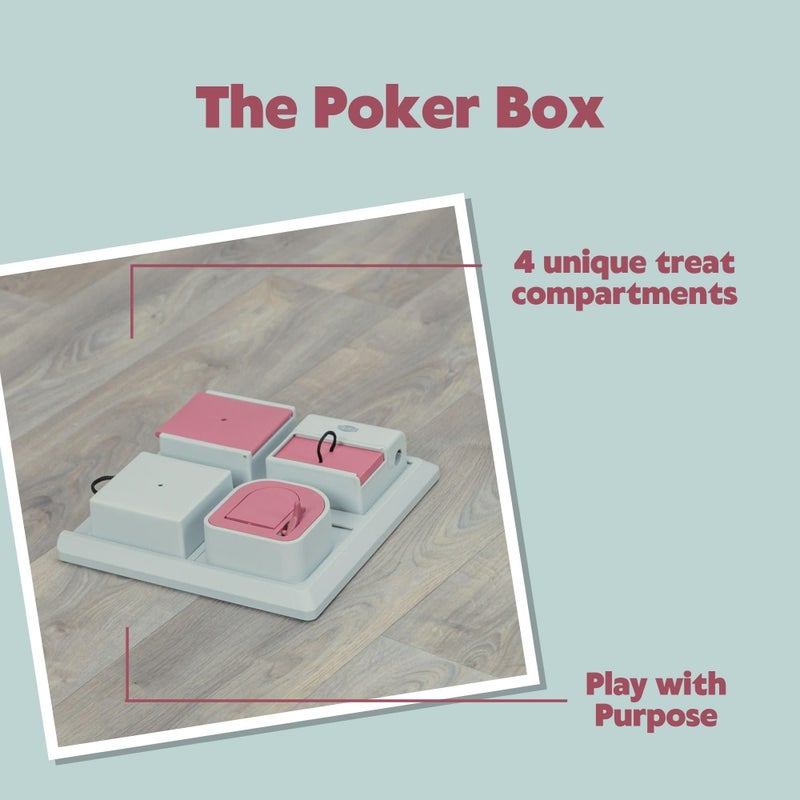 TRIXIE Cat Activity Poker Box Strategy Game â€“ Interactive Puzzle Toy with 4 Modules â€“ Treat Puzzle Feeder for Mental Stimulation & Slow Feeding â€“ Pink/Gray, 12.2 x 12.2 x 2.5 in - Image 4
